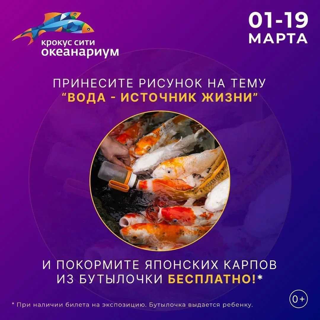 Покормите японских карпов из бутылочки бесплатно