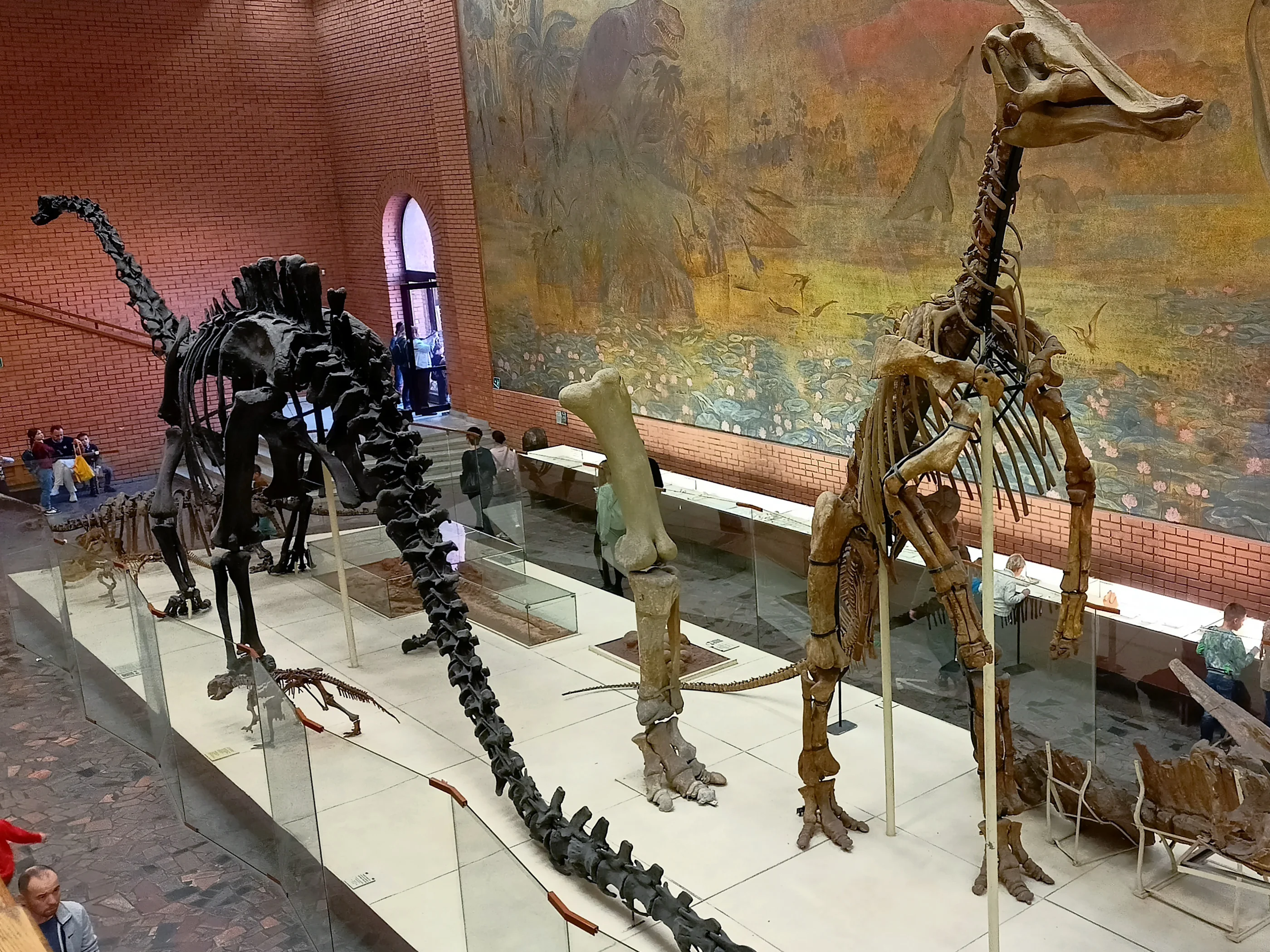 В Палеонтологический музей детям - бесплатно!